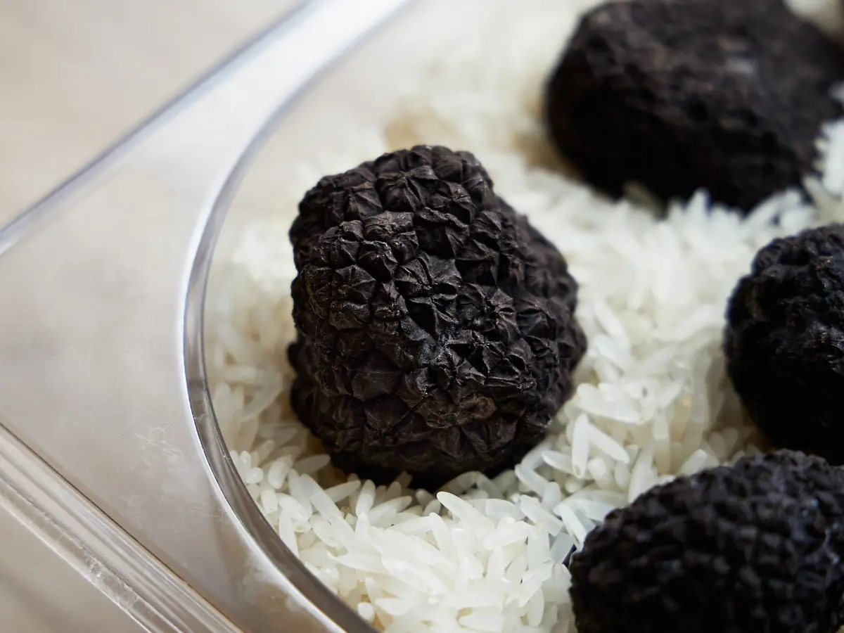 Whole fresh black winter truffles resting on a bed of rice in a clear container